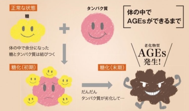 肌の老化の原因は糖化 肌が焦げる糖化はお茶で予防できるの ウレハダ うれしいお肌 ずっと続く